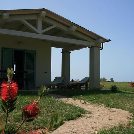 Agriturismo Podere 678 Grosseto Eksteriør billede
