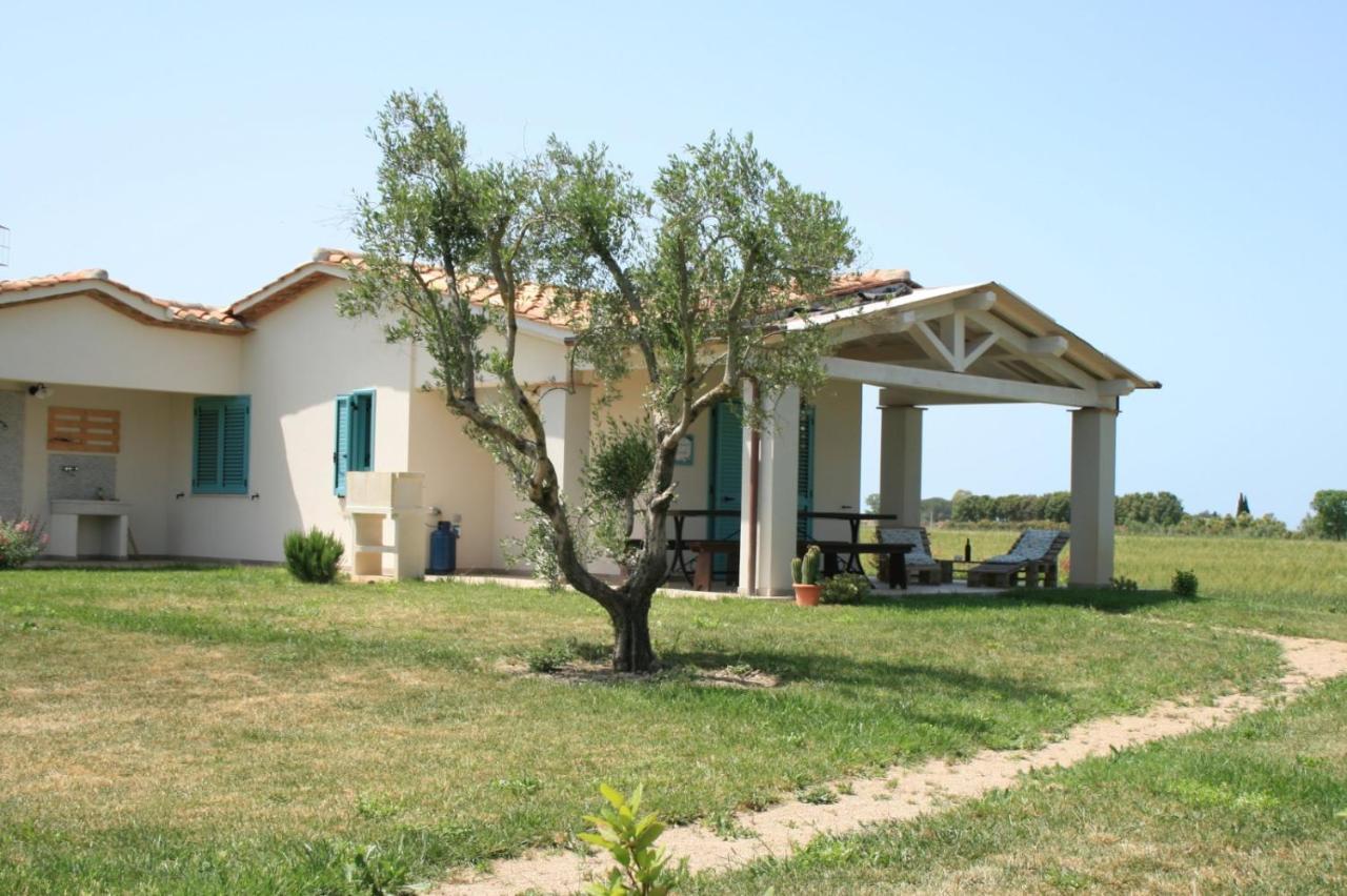 Agriturismo Podere 678 Grosseto Eksteriør billede