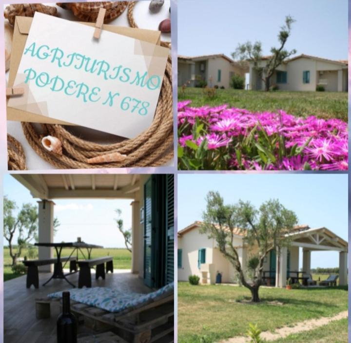 Agriturismo Podere 678 Grosseto Eksteriør billede