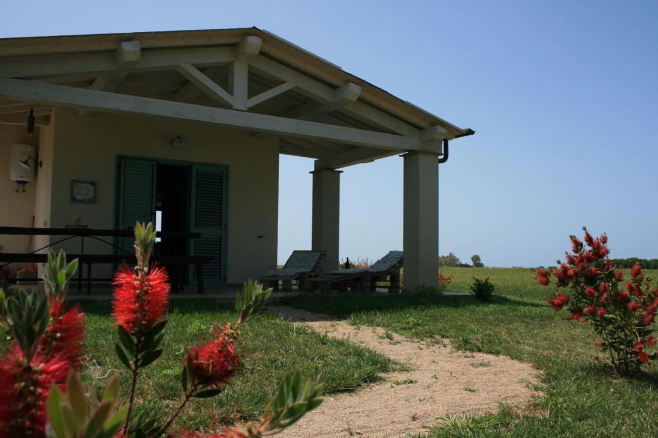 Agriturismo Podere 678 Grosseto Eksteriør billede