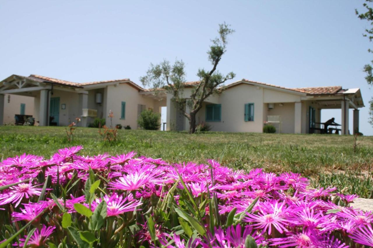 Agriturismo Podere 678 Grosseto Eksteriør billede